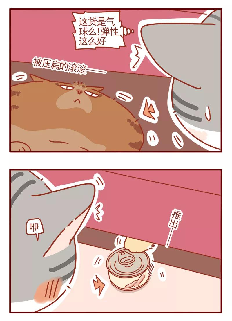 我只是一只小猫咪 第18话 第14页