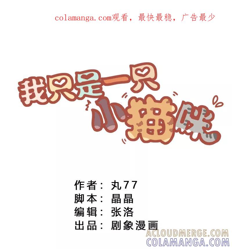 我只是一只小猫咪 第18话 第1页