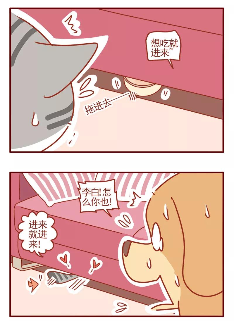 我只是一只小猫咪 第18话 第16页