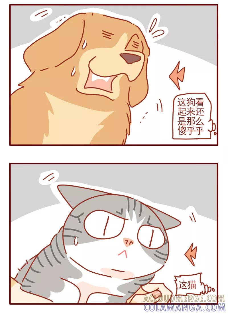 我只是一只小猫咪 第18话 第5页