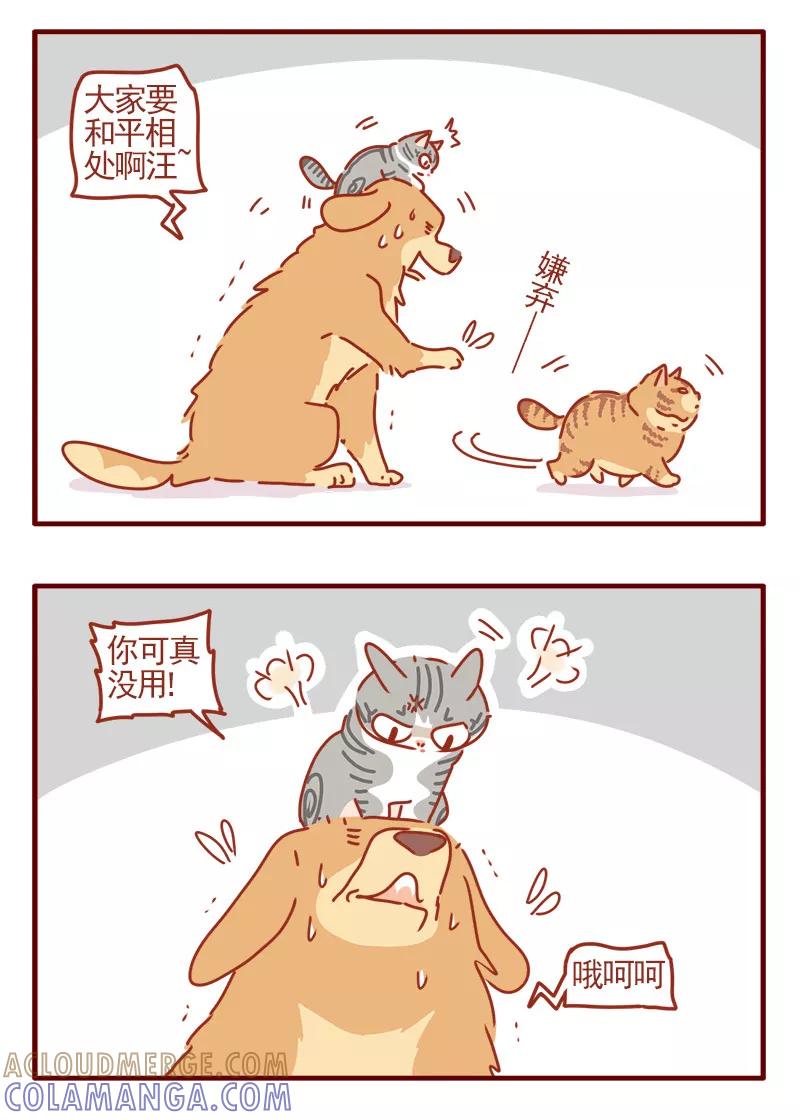 我只是一只小猫咪 第18话 第9页