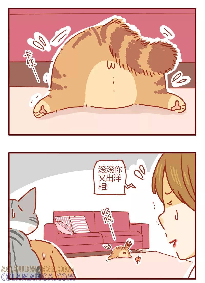 我只是一只小猫咪 第18话 第11页