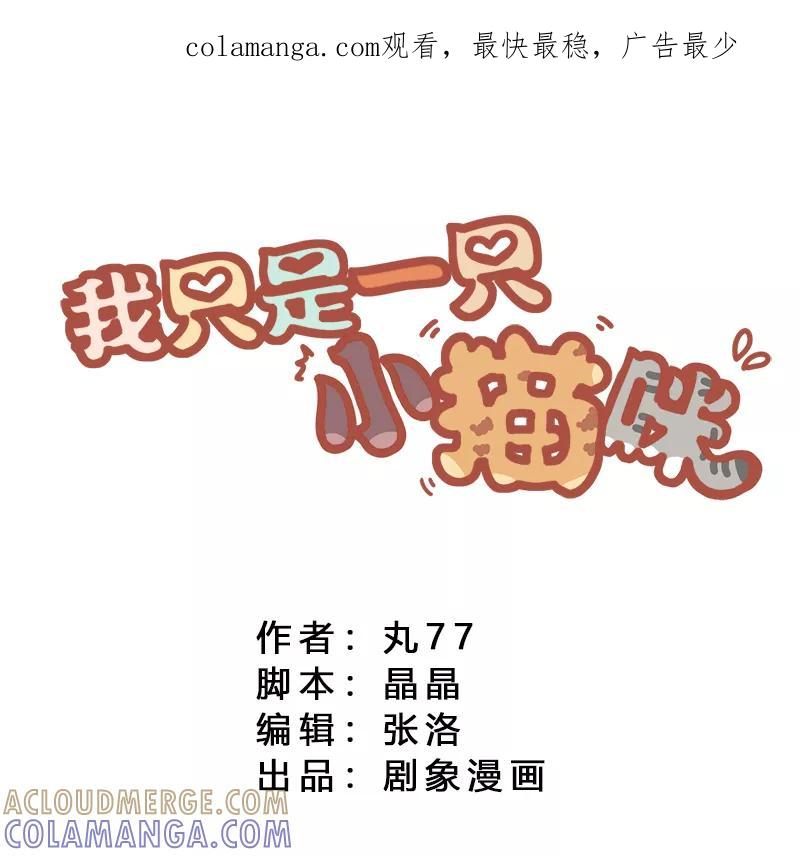 我只是一只小猫咪 第19话 第1页