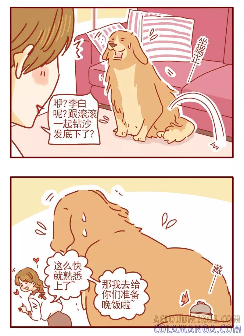 我只是一只小猫咪 第19话 第5页
