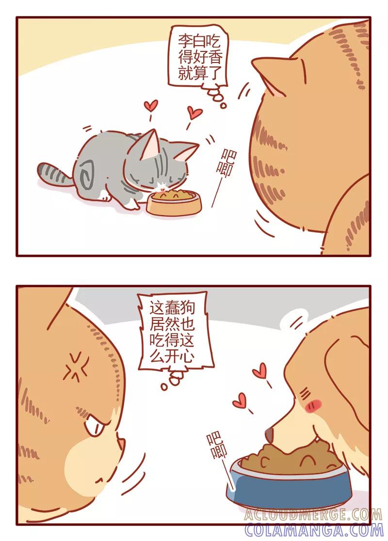 我只是一只小猫咪 第19话 第9页