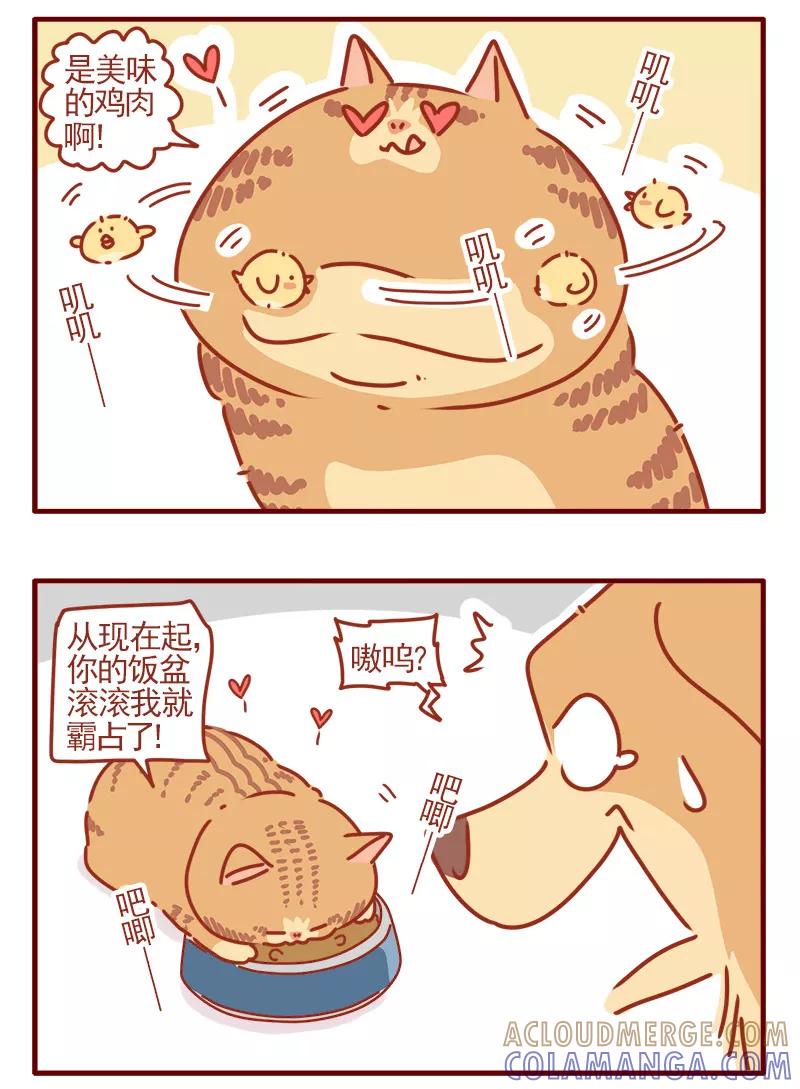我只是一只小猫咪 第19话 第11页