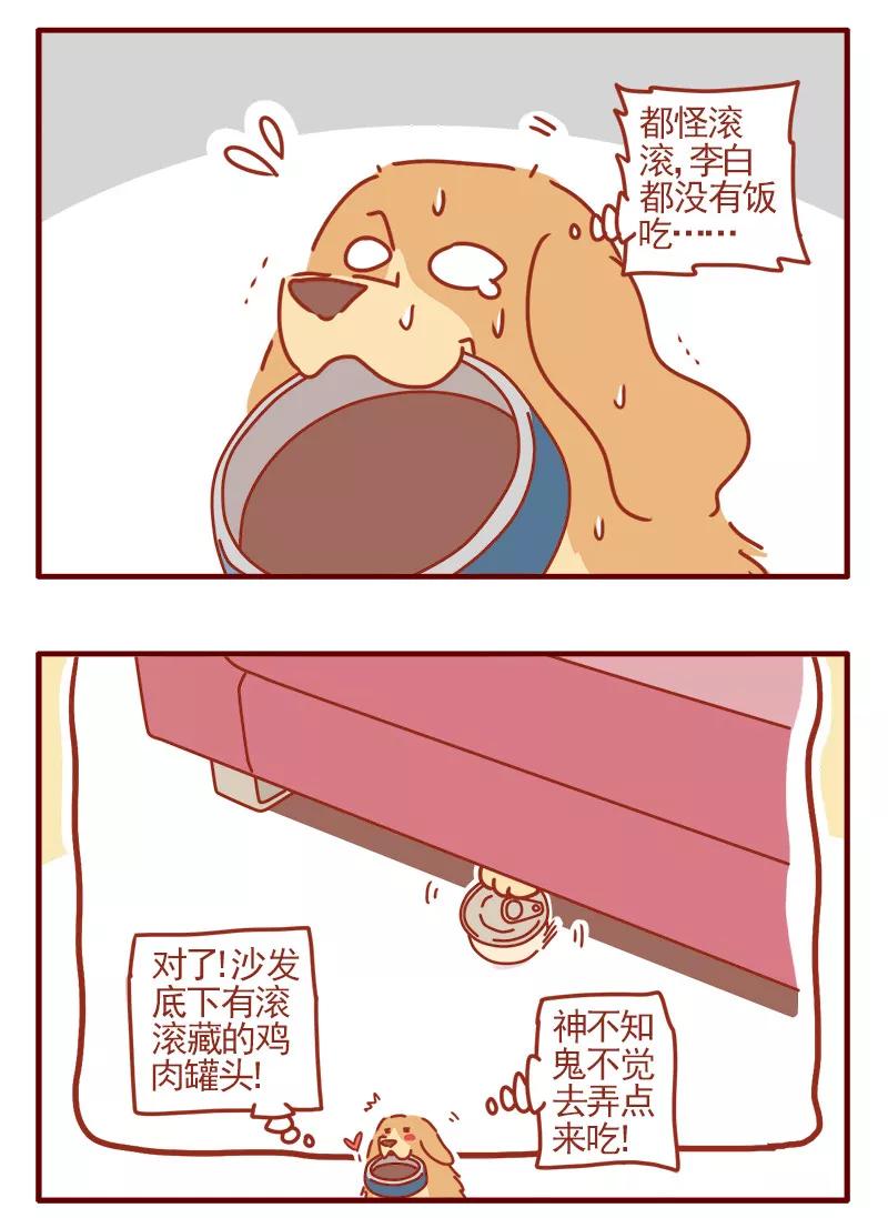 我只是一只小猫咪 第19话 第16页