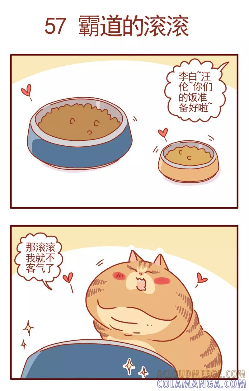 我只是一只小猫咪 第19话 第7页