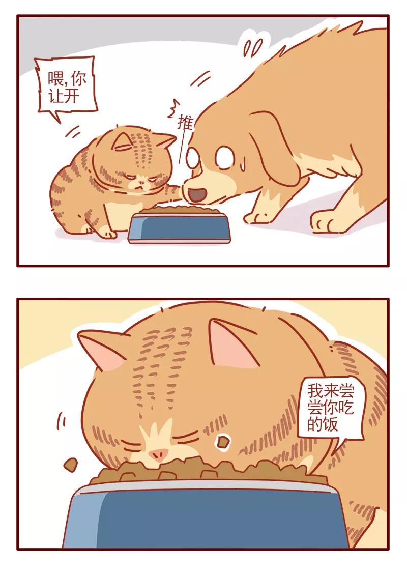 我只是一只小猫咪 第19话 第10页