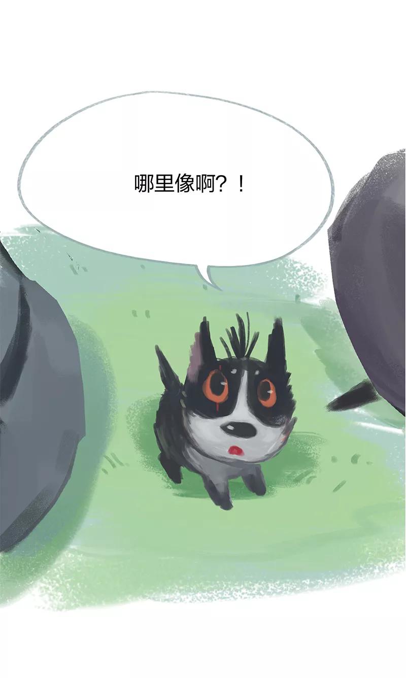 《吾猫当仙》第17话 第30页