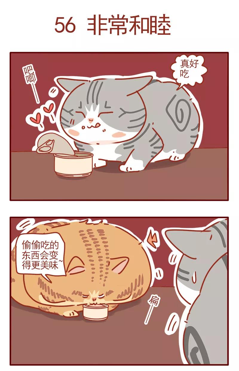 我只是一只小猫咪 第19话 第2页