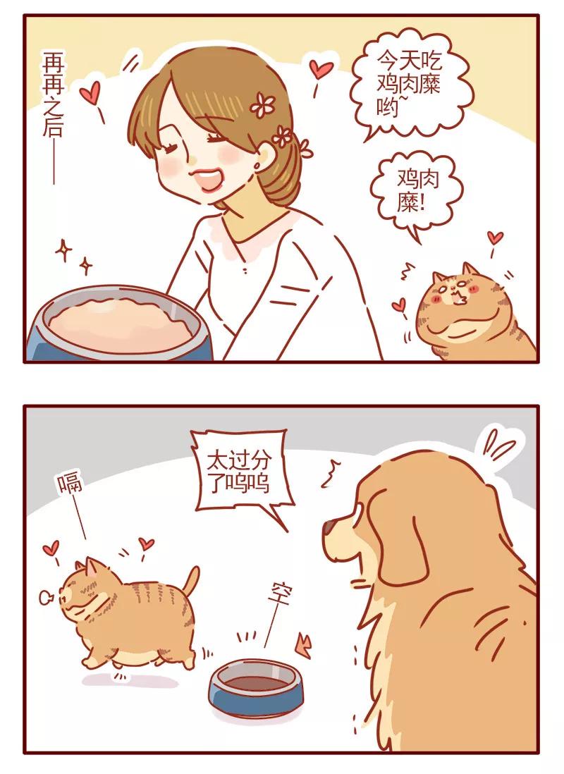 我只是一只小猫咪 第19话 第14页