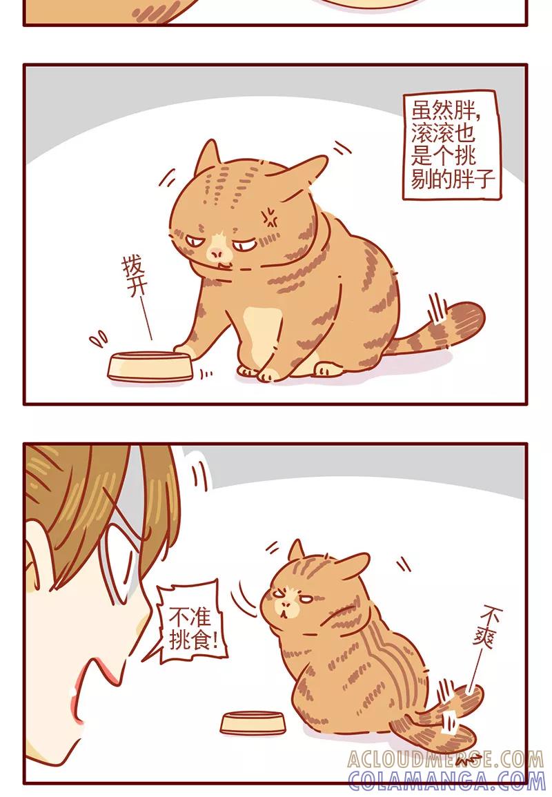 我只是一只小猫咪 第2话 第13页