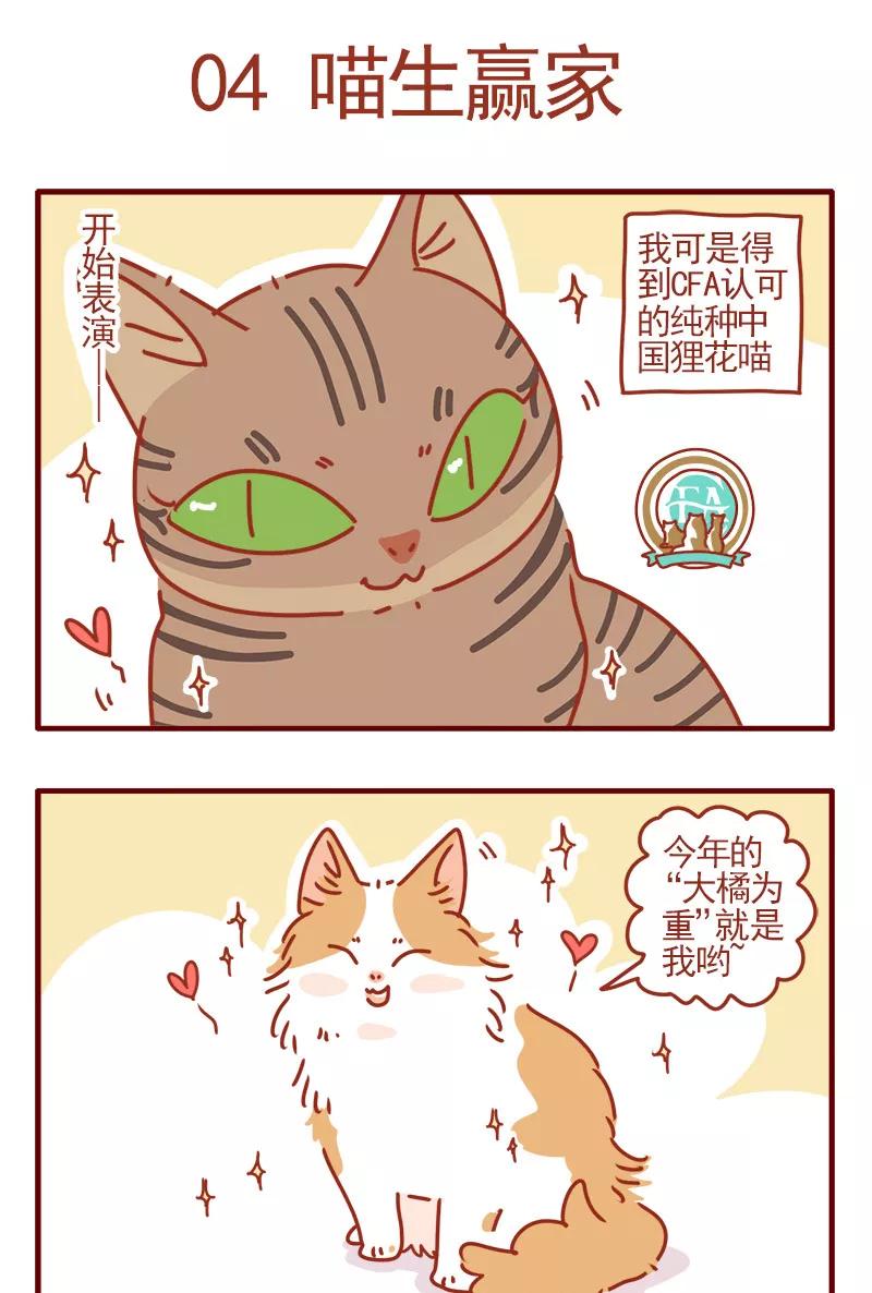 我只是一只小猫咪 第2话 第2页