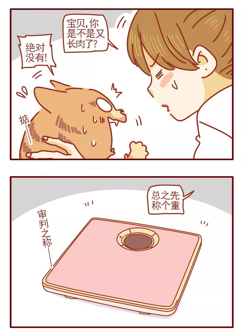 我只是一只小猫咪 第2话 第8页