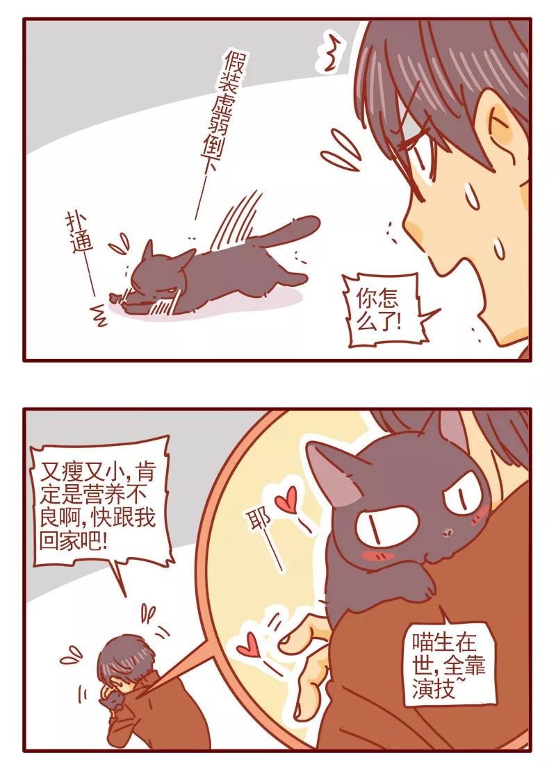 我只是一只小猫咪 第2话 第6页