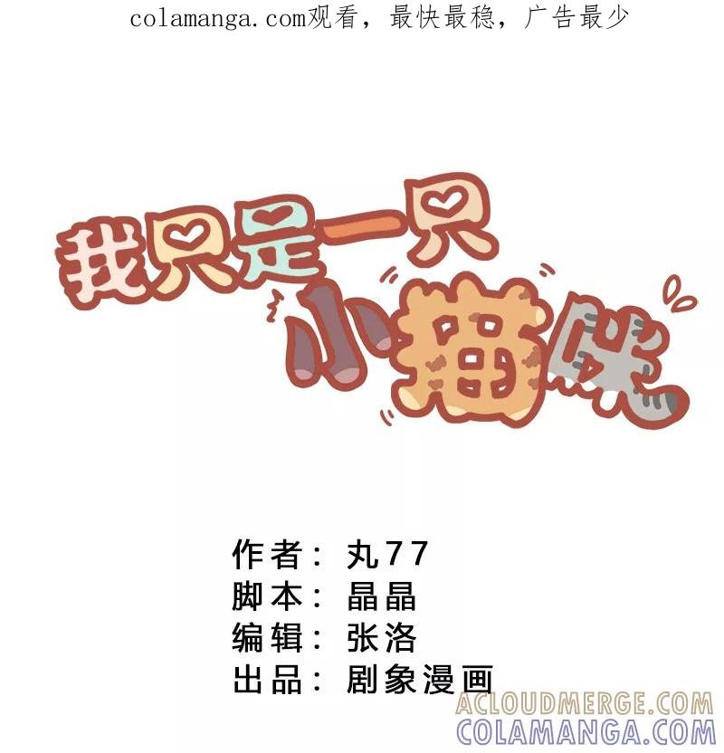 我只是一只小猫咪 第2话 第1页