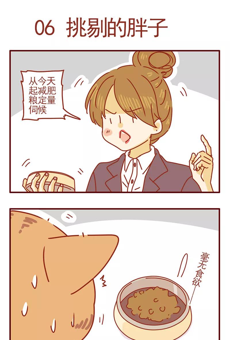 我只是一只小猫咪 第2话 第12页