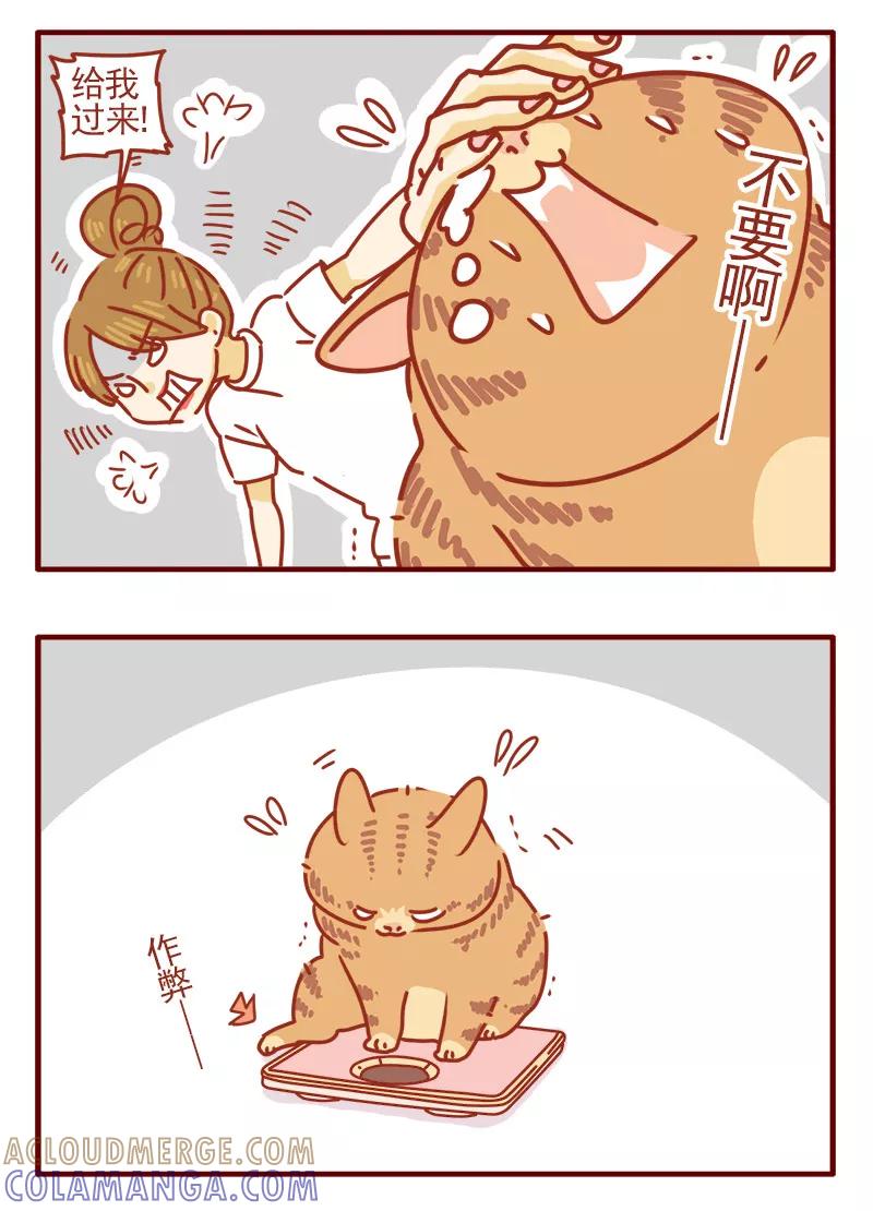 我只是一只小猫咪 第2话 第9页