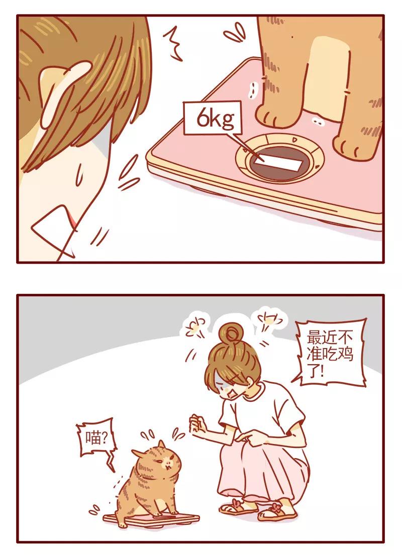 我只是一只小猫咪 第2话 第10页