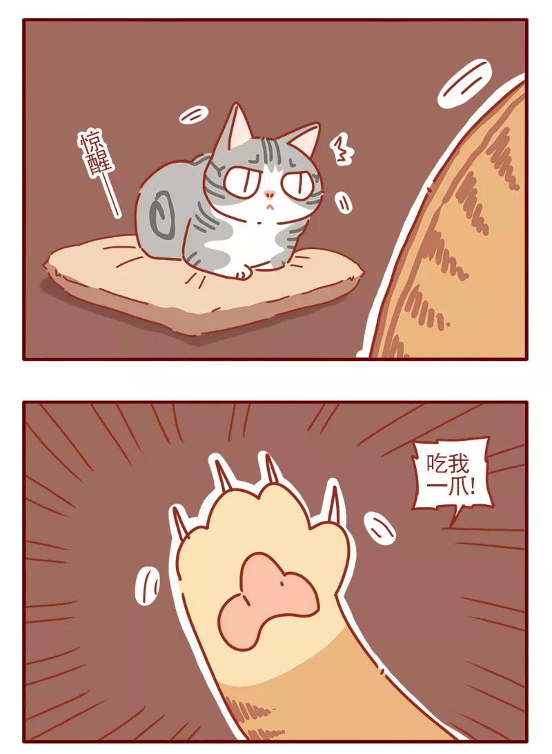 我只是一只小猫咪 第20话 第14页