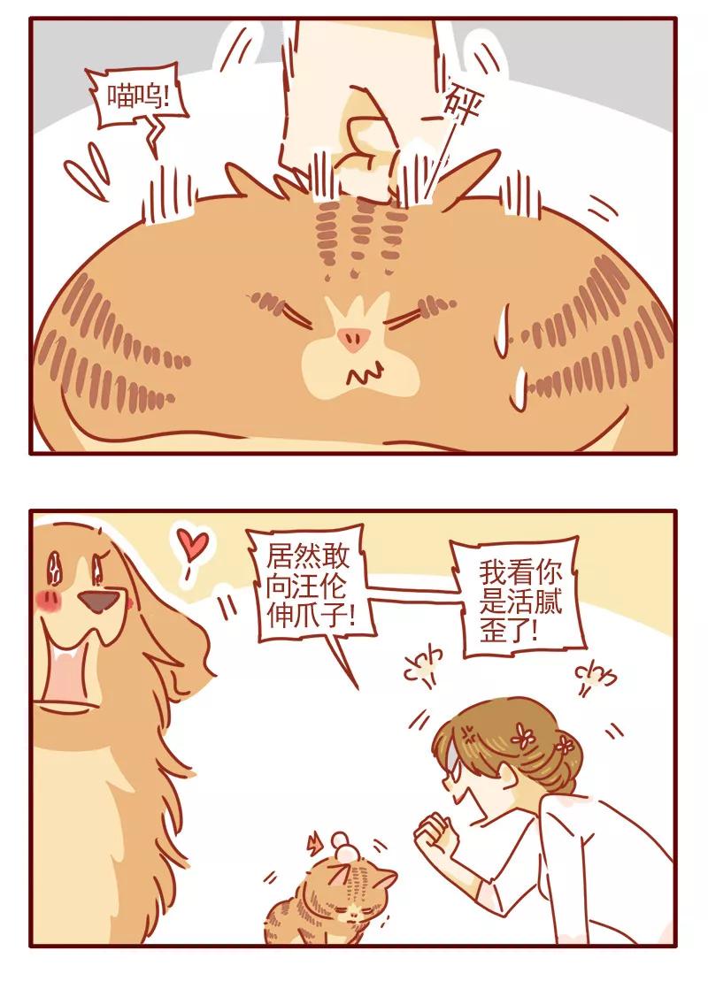 我只是一只小猫咪 第20话 第10页