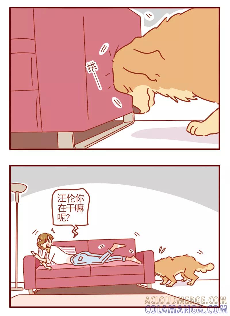 我只是一只小猫咪 第20话 第3页