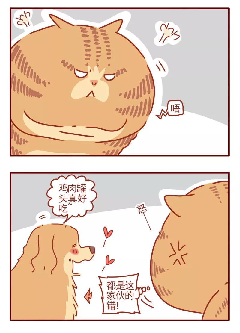 我只是一只小猫咪 第20话 第8页
