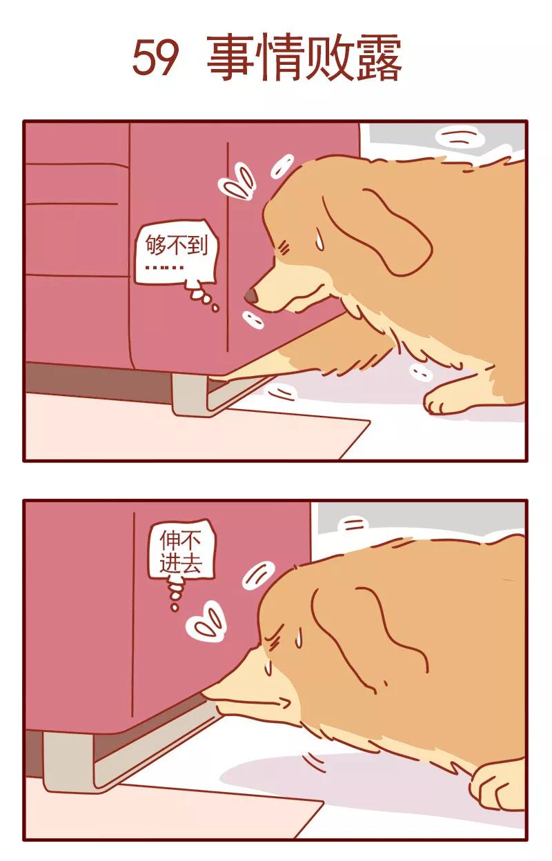 我只是一只小猫咪 第20话 第2页