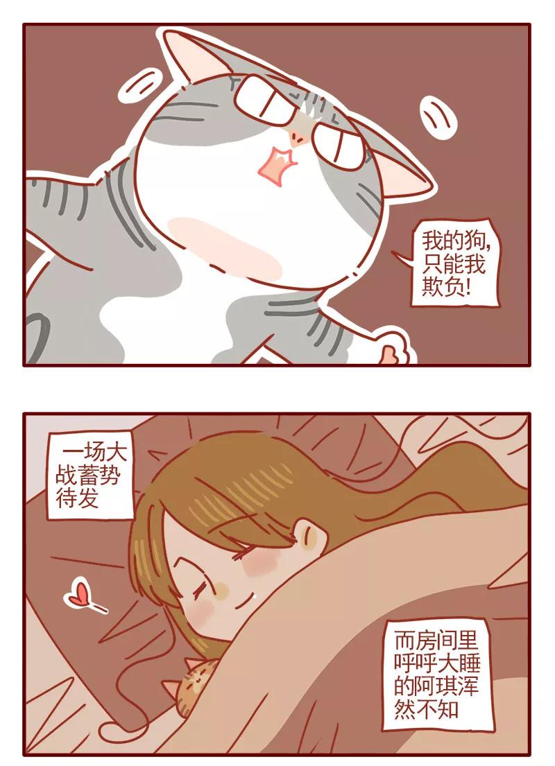 我只是一只小猫咪 第20话 第16页