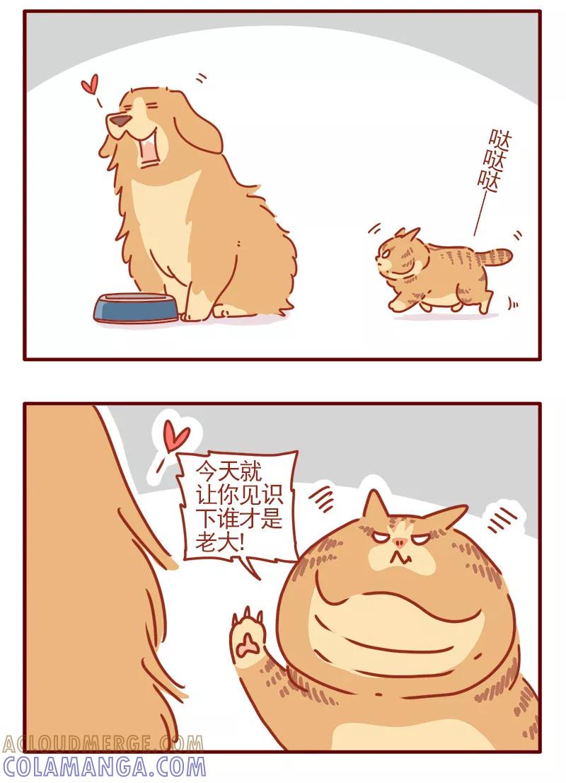 我只是一只小猫咪 第20话 第9页