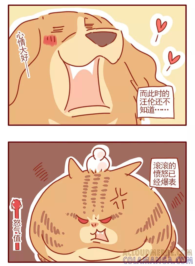 我只是一只小猫咪 第20话 第11页