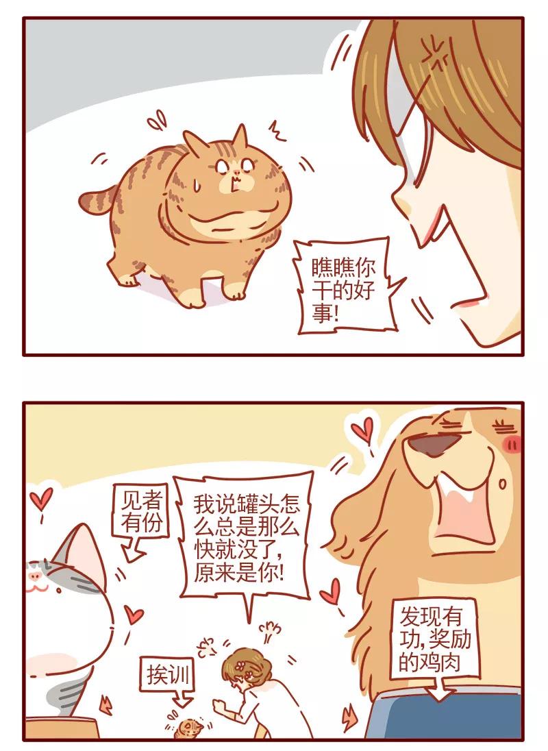 我只是一只小猫咪 第20话 第6页