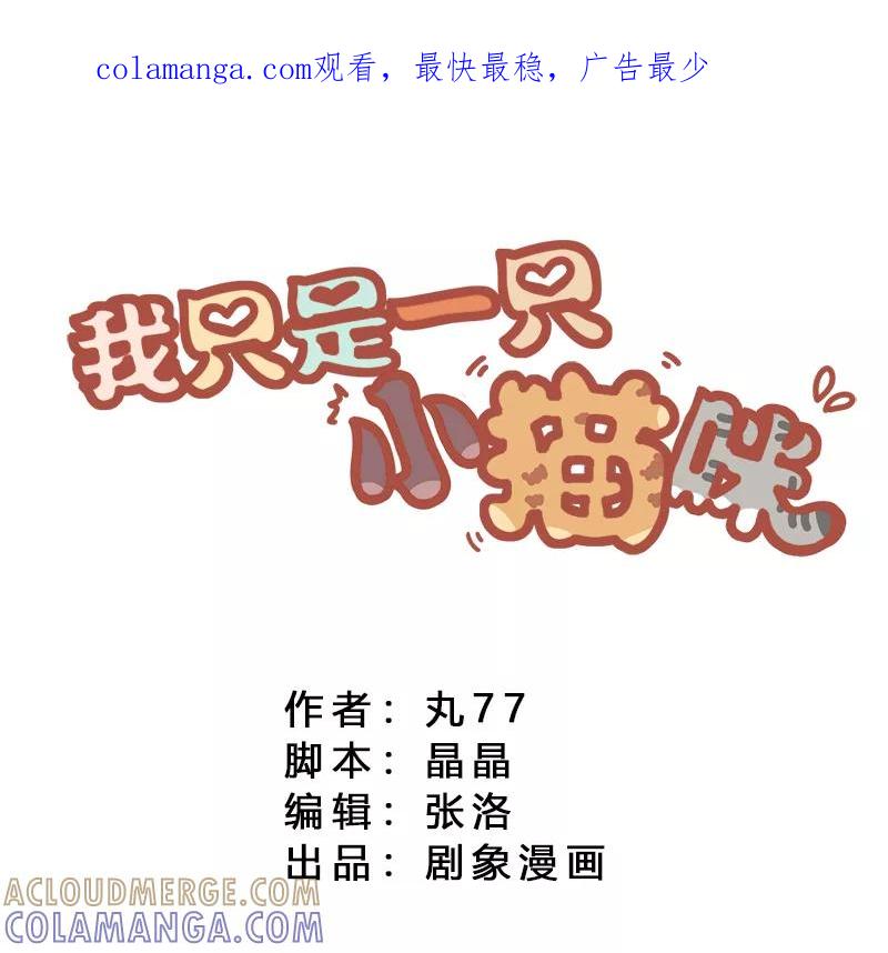 我只是一只小猫咪 第20话 第1页