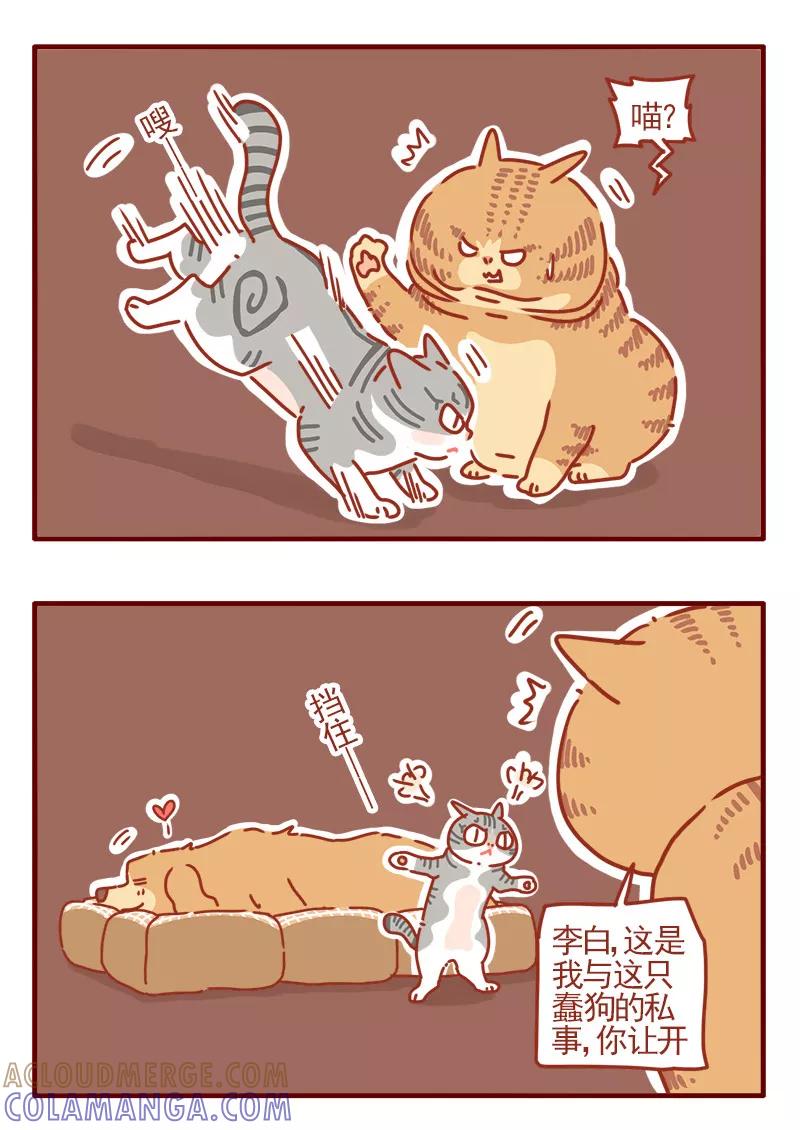 我只是一只小猫咪 第20话 第15页