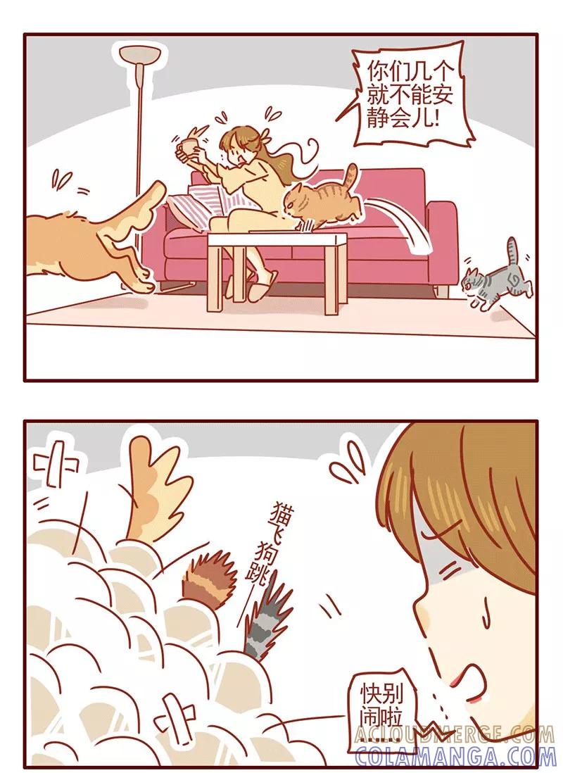 我只是一只小猫咪 第21话 第3页