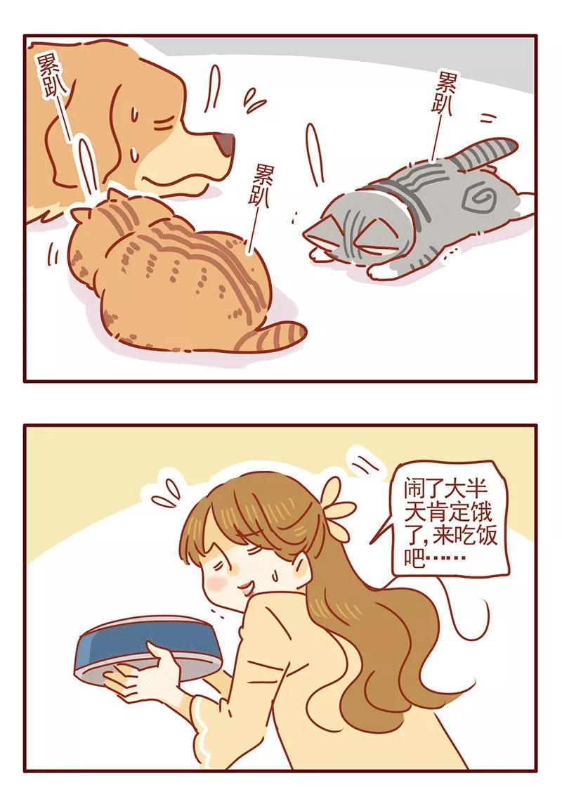 我只是一只小猫咪 第21话 第4页