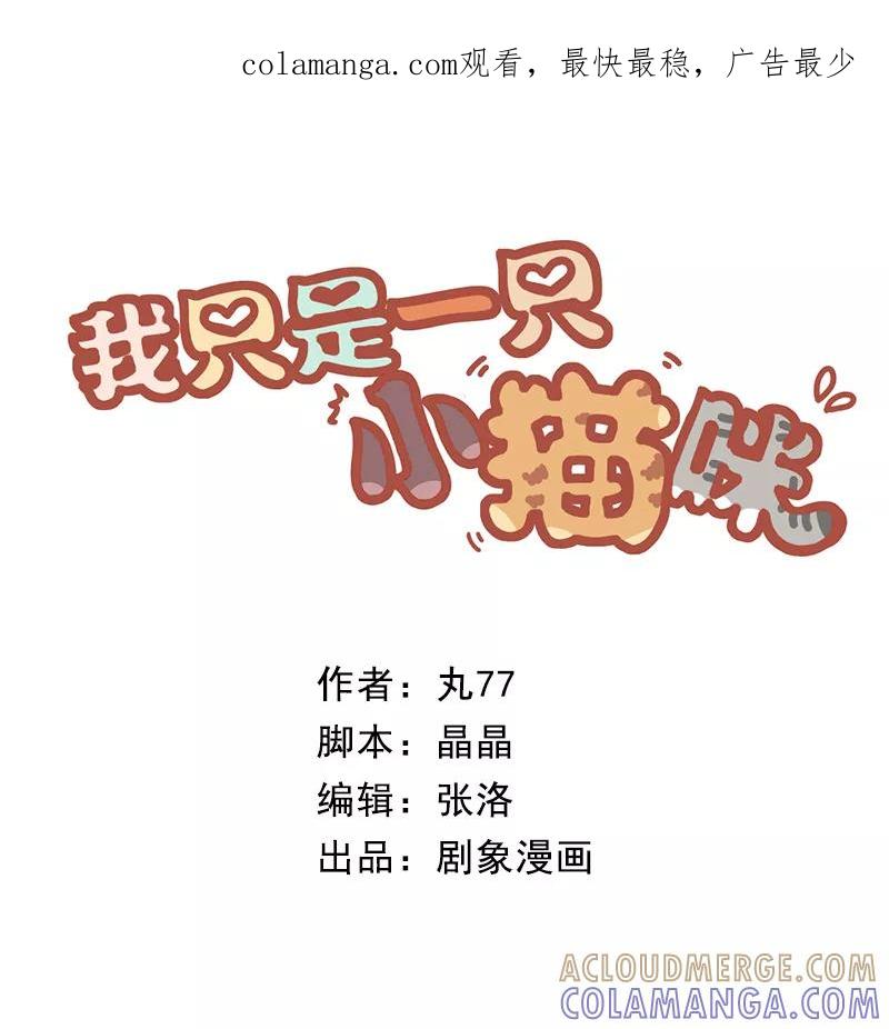 我只是一只小猫咪 第21话 第1页