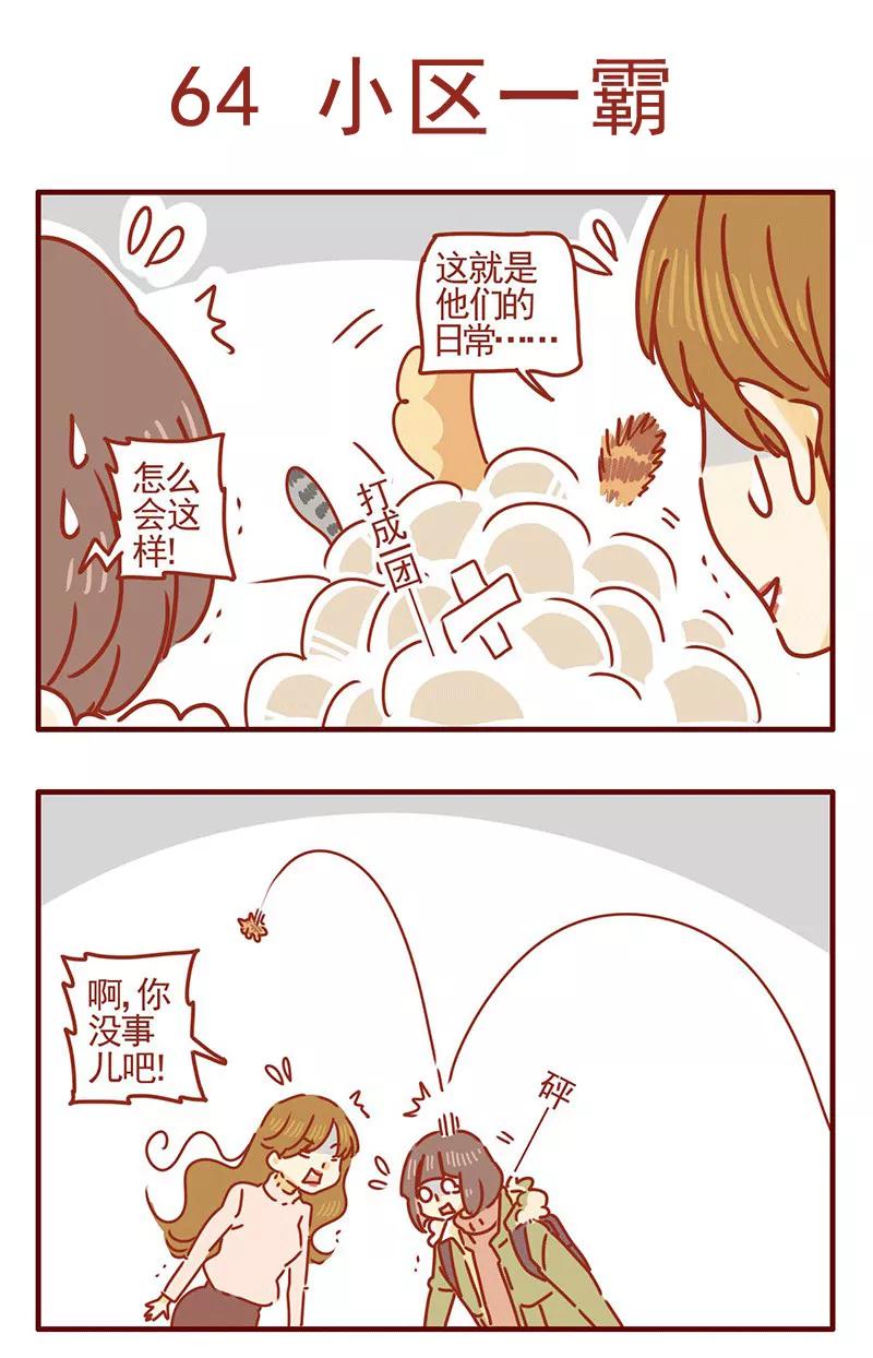 我只是一只小猫咪 第21话 第12页