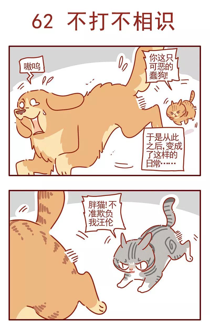 我只是一只小猫咪 第21话 第2页