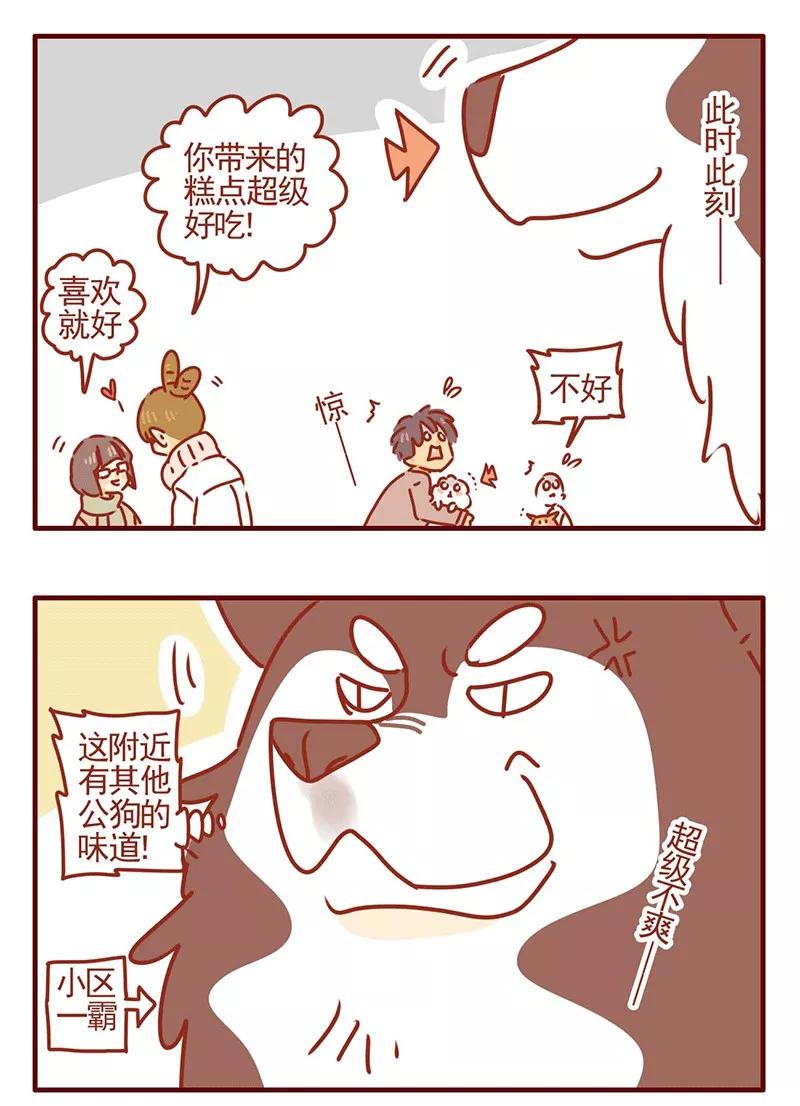 我只是一只小猫咪 第21话 第16页