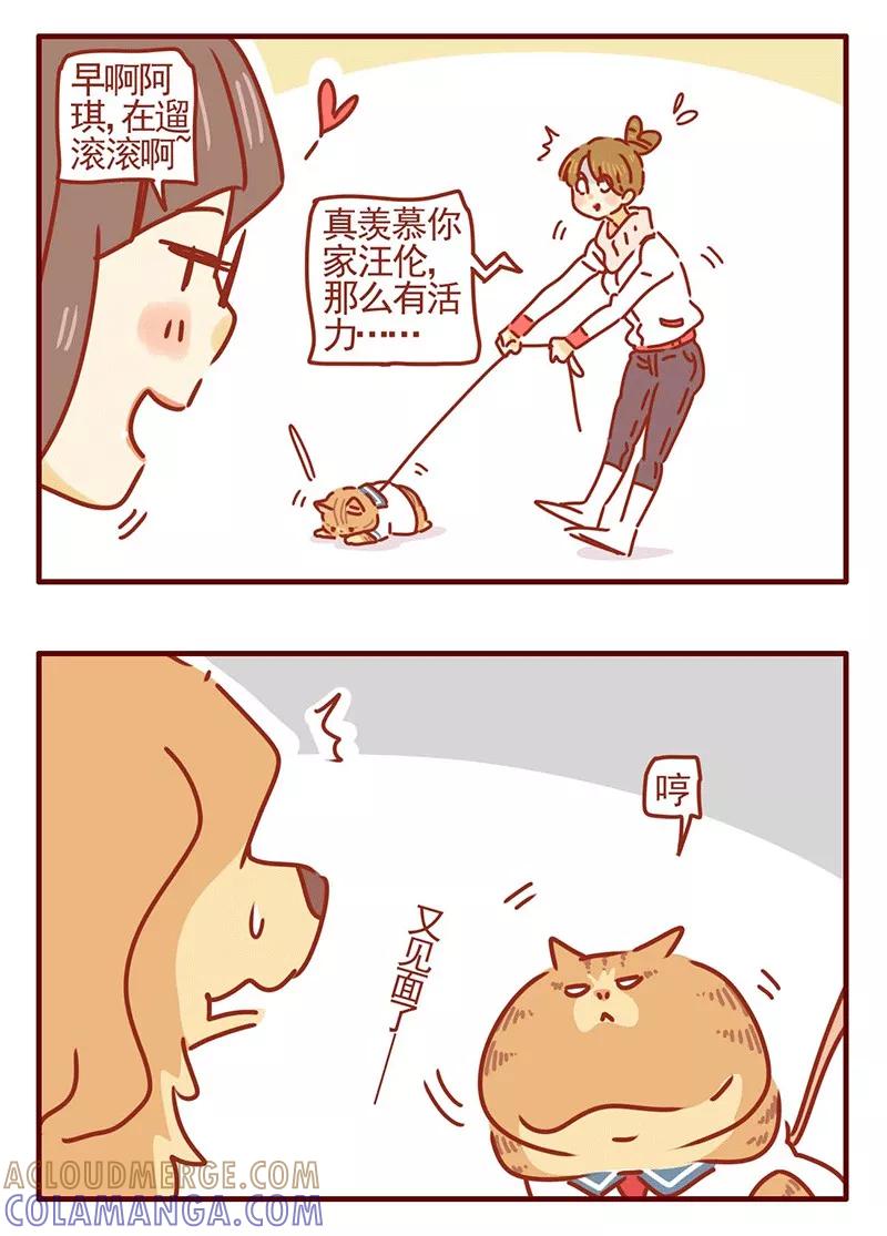 我只是一只小猫咪 第21话 第15页