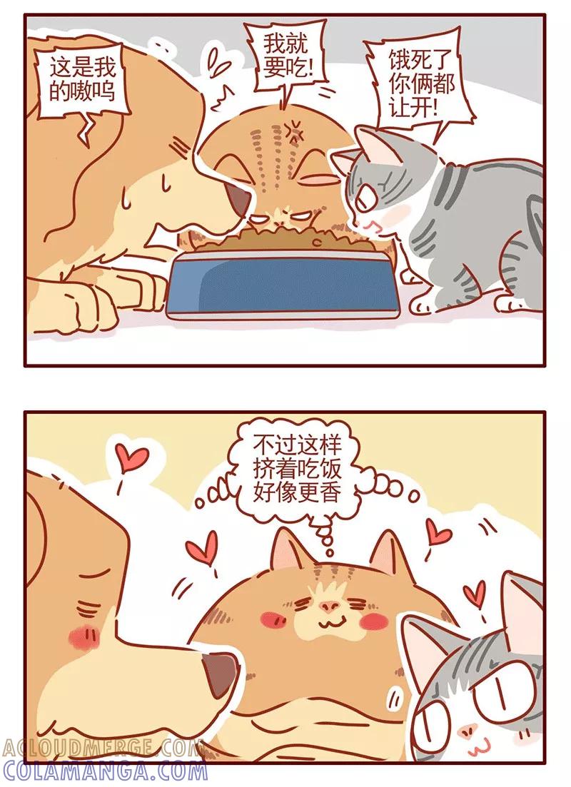 我只是一只小猫咪 第21话 第5页