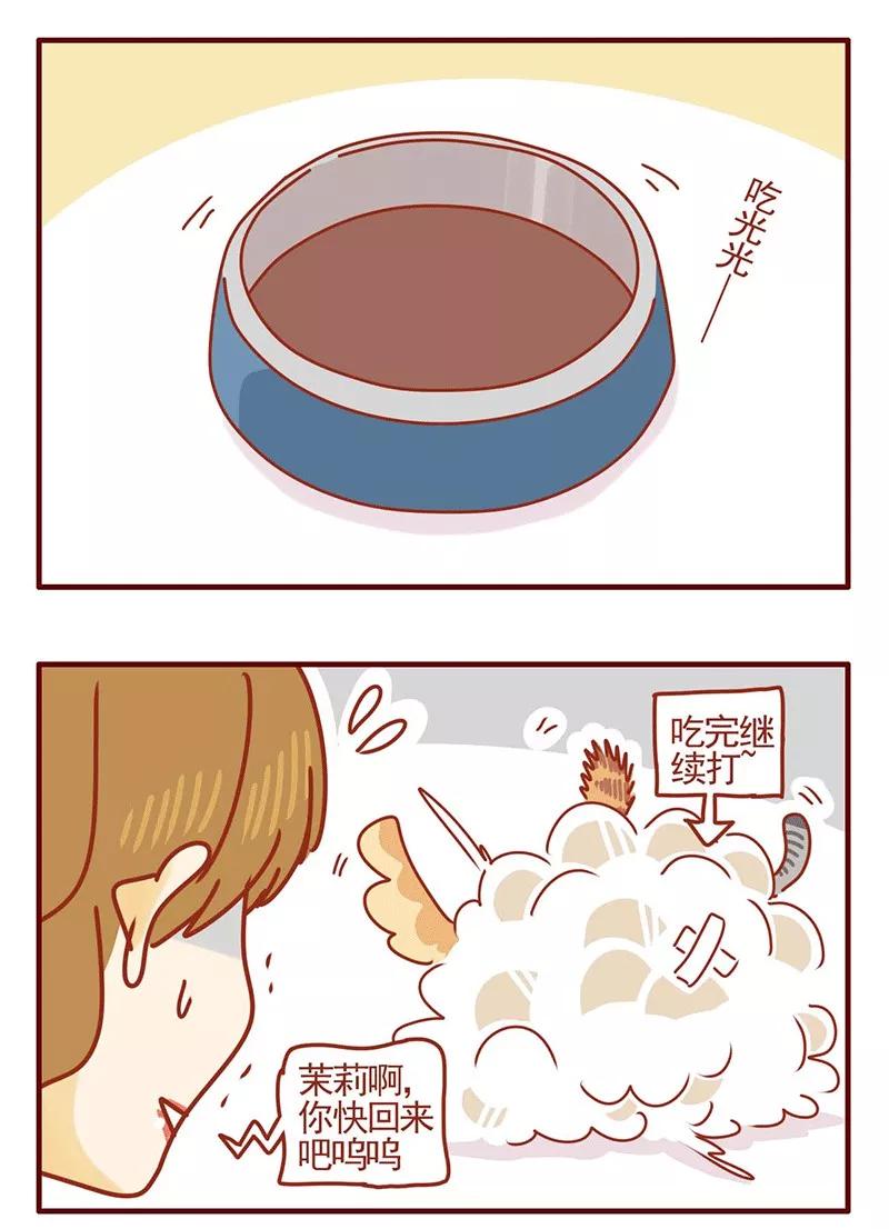 我只是一只小猫咪 第21话 第6页