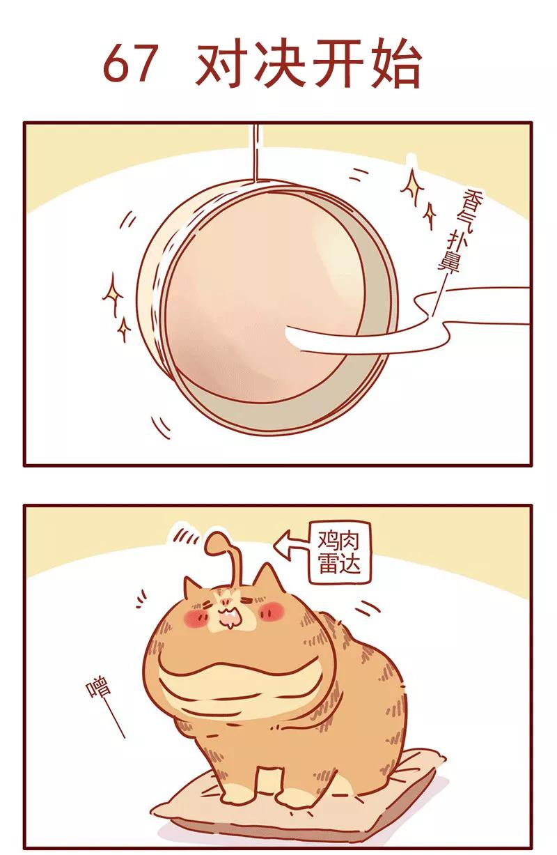 我只是一只小猫咪 第22话 第12页