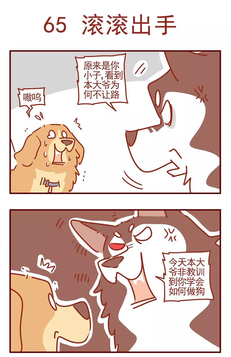 我只是一只小猫咪 第22话 第2页