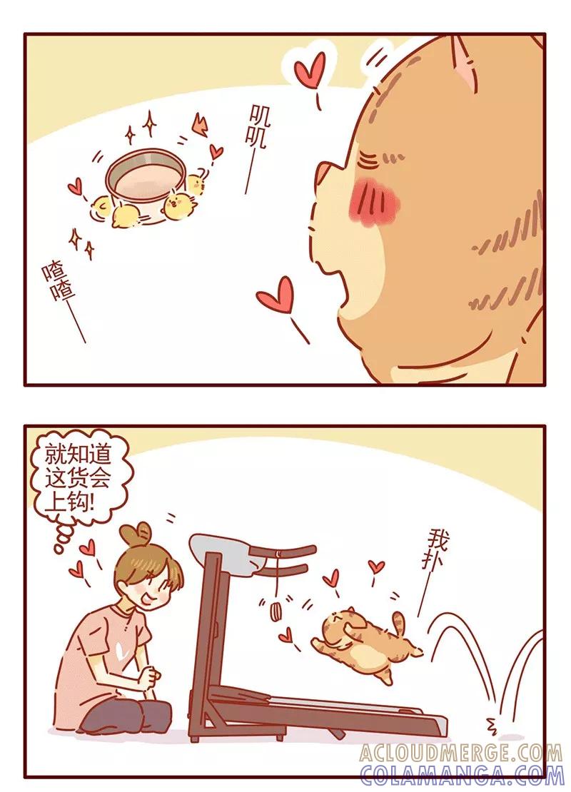我只是一只小猫咪 第22话 第13页