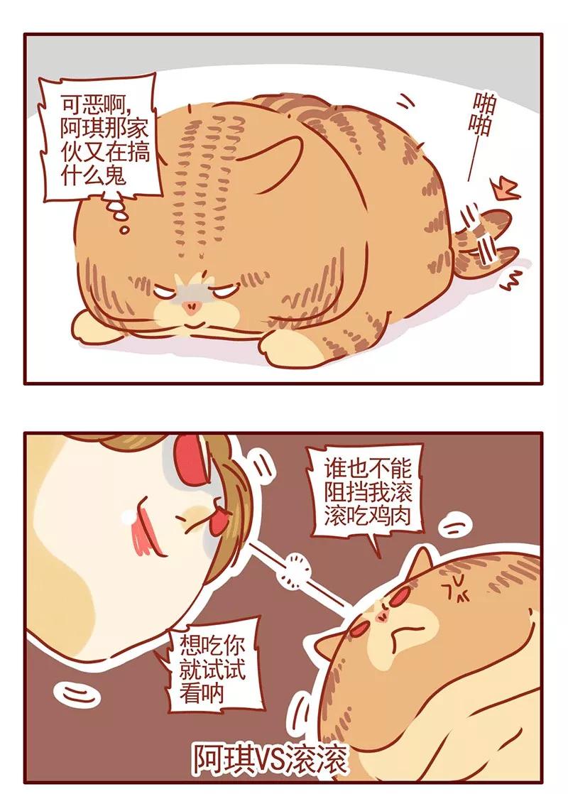 我只是一只小猫咪 第22话 第16页