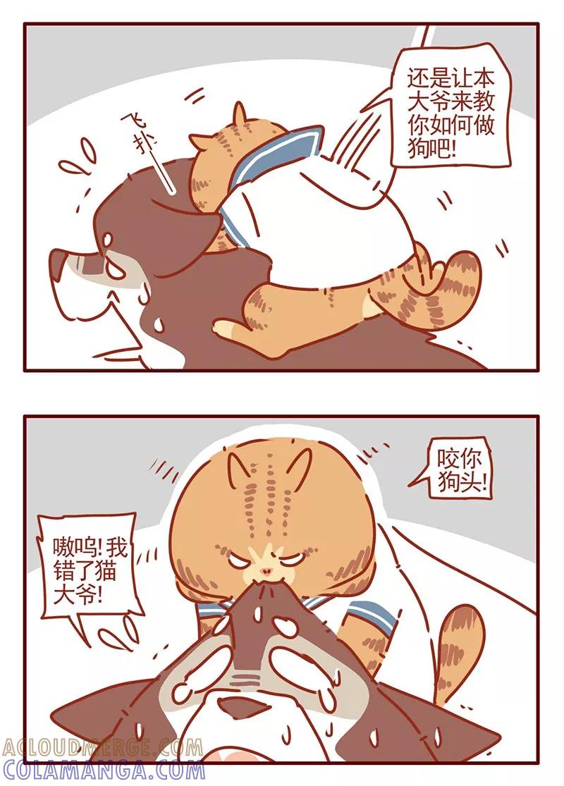 我只是一只小猫咪 第22话 第5页