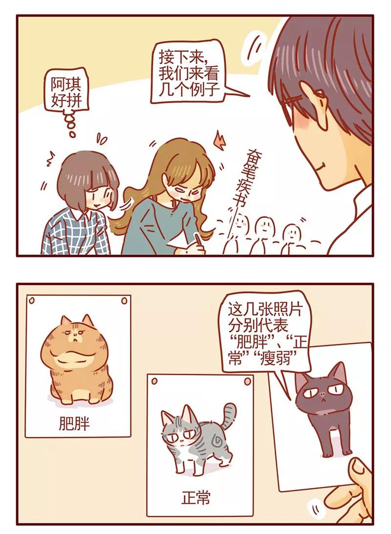 我只是一只小猫咪 第22话 第8页